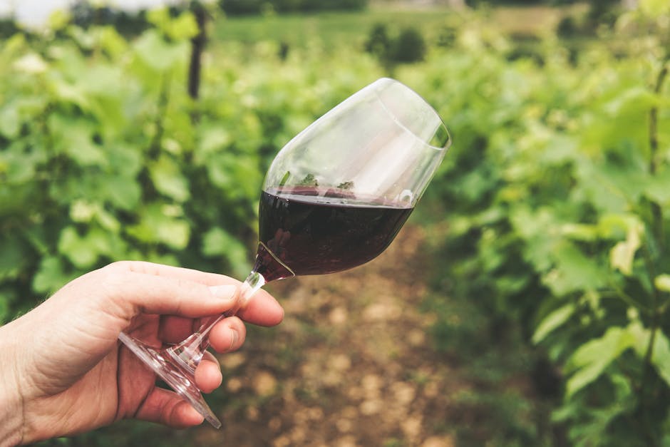 Mourvèdre คืออะไร? รสชาติ แหล่งผลิต และการจับคู่อาหาร