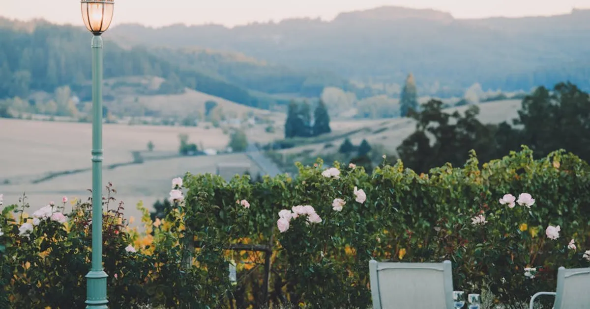 Stellenbosch แหล่งผลิตไวน์แอฟริกาใต้ที่ควรรู้